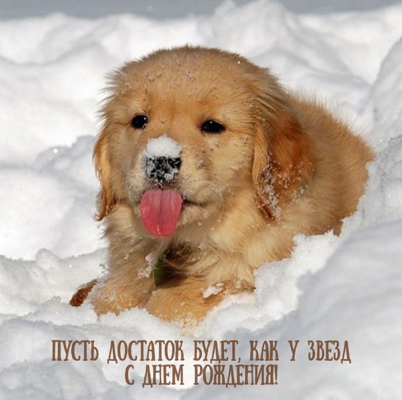 Пусть достаток будет, как у звезд с днем рождения!