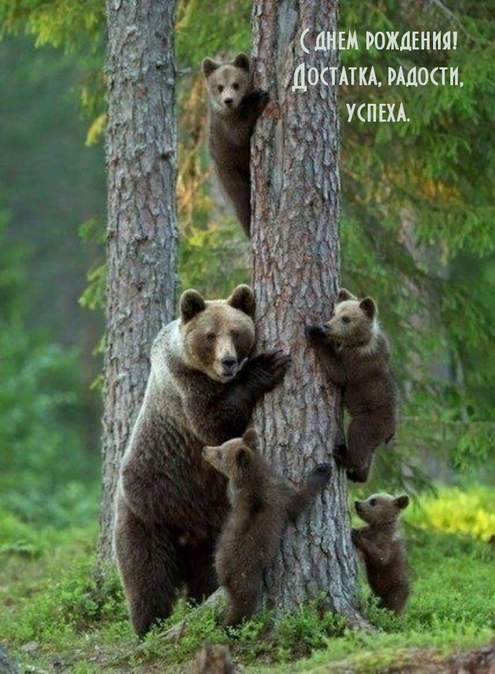 С днем рождения! Достатка, радости, успеха.