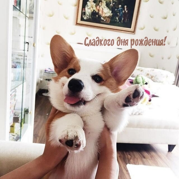 Сладкого дня рождения!