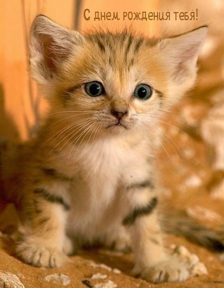 С днем рождения!