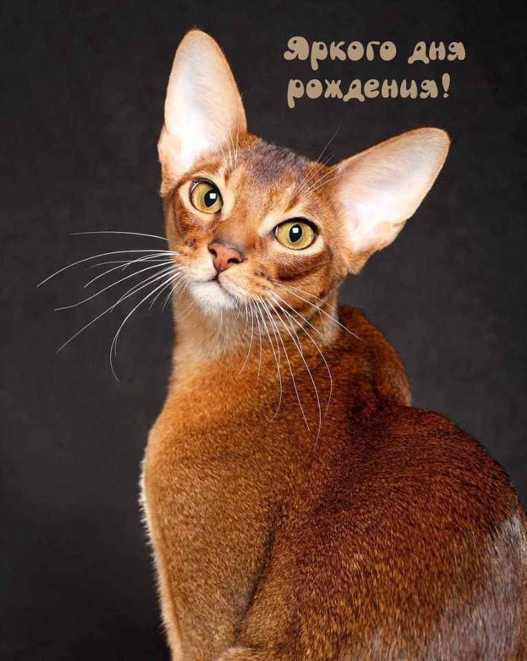 Яркого дня рождения