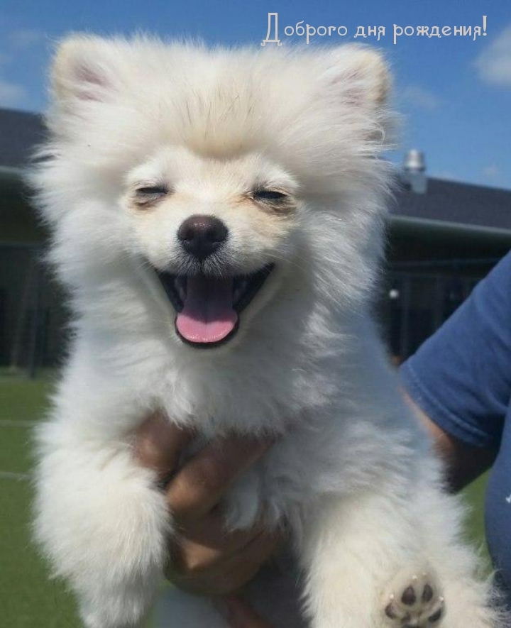 Доброго дня рождения! 