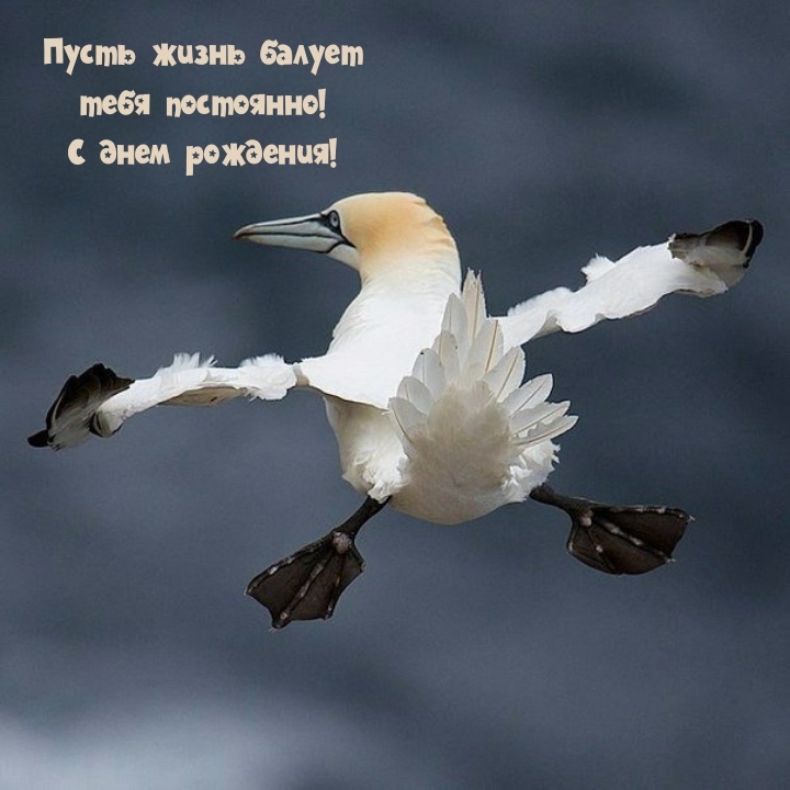 Пусть жизнь балует тебя постоянно! С днем рождения!