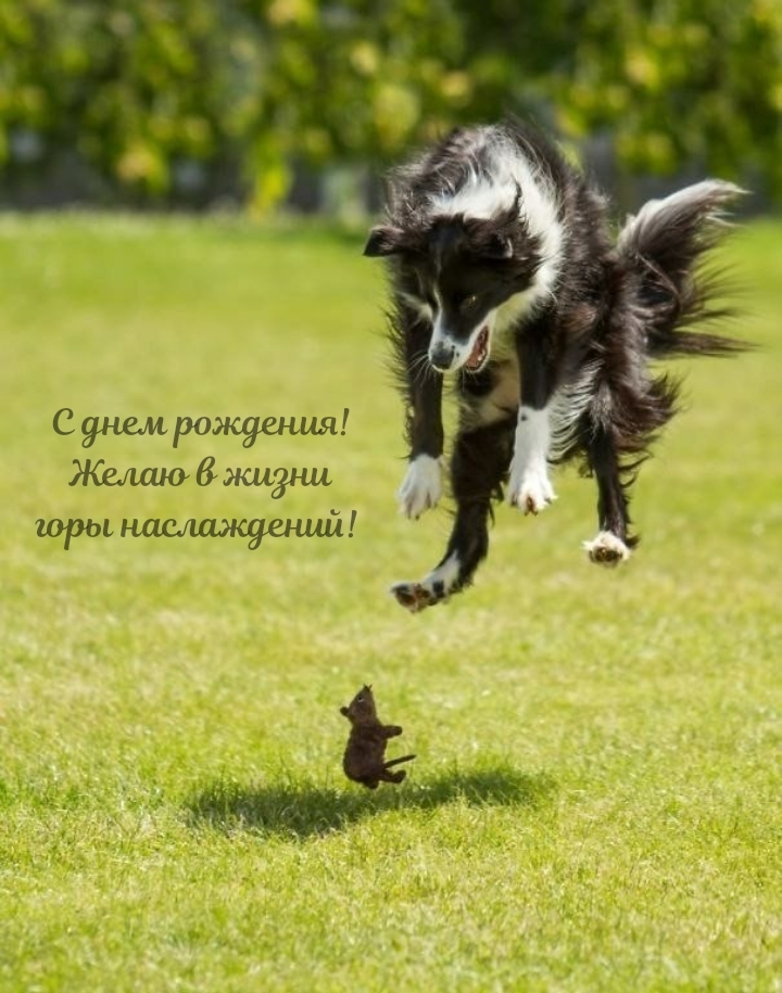 С днем рождения! Желаю в жизни горы наслаждений! 