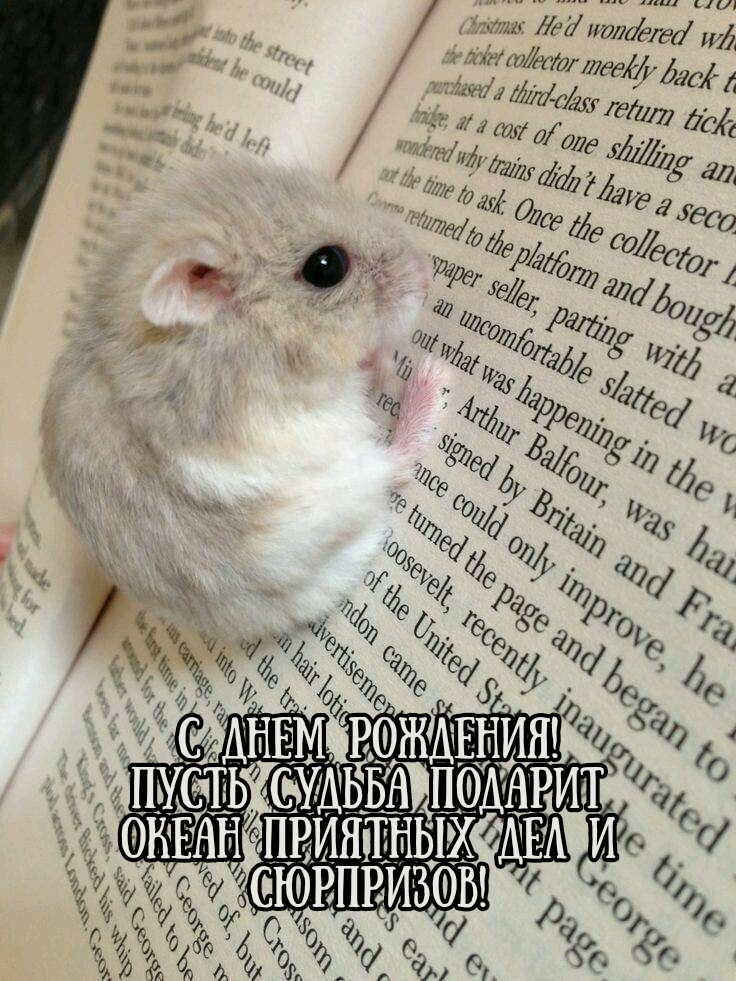 С днем рождения! Пусть судьба подарит океан приятных дел 