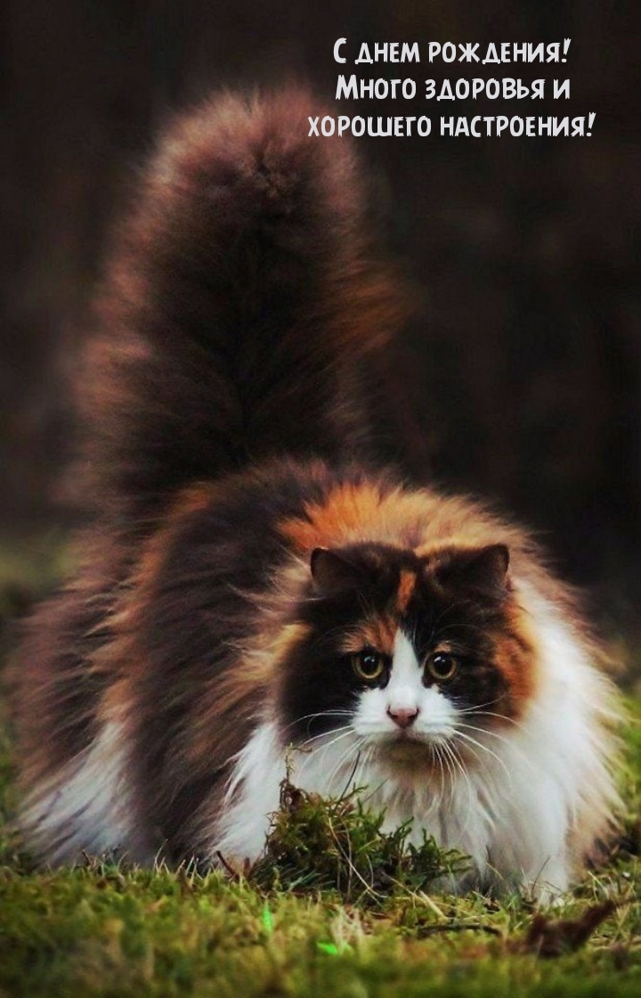 С днем рождения! Много здоровья и хорошего настроения!