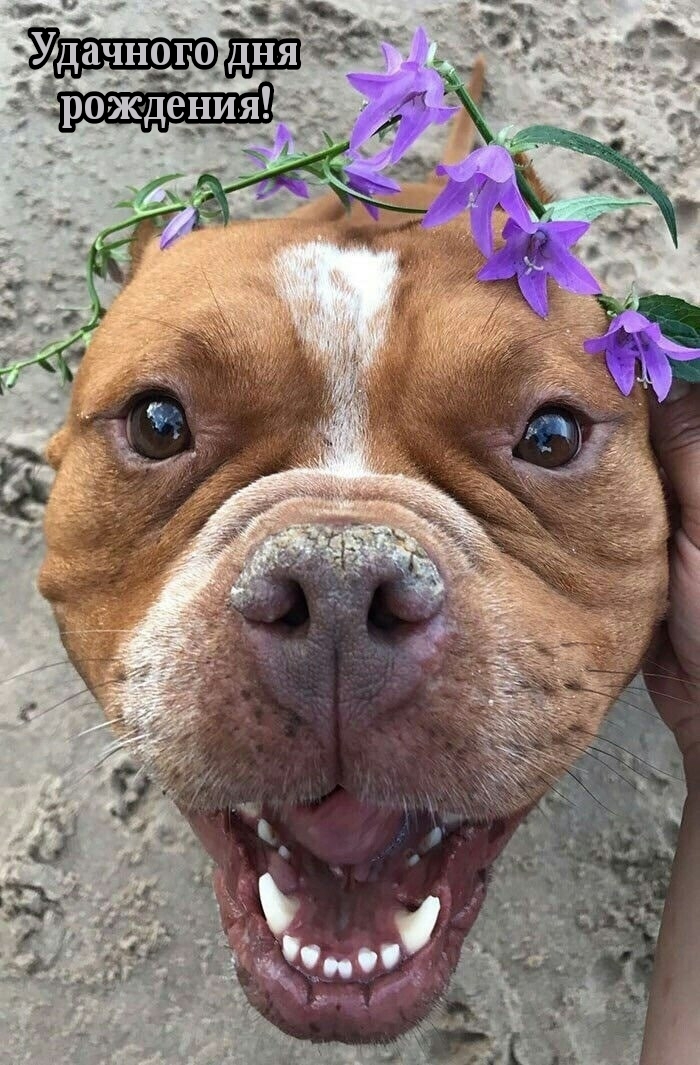 Удачного дня рождения!