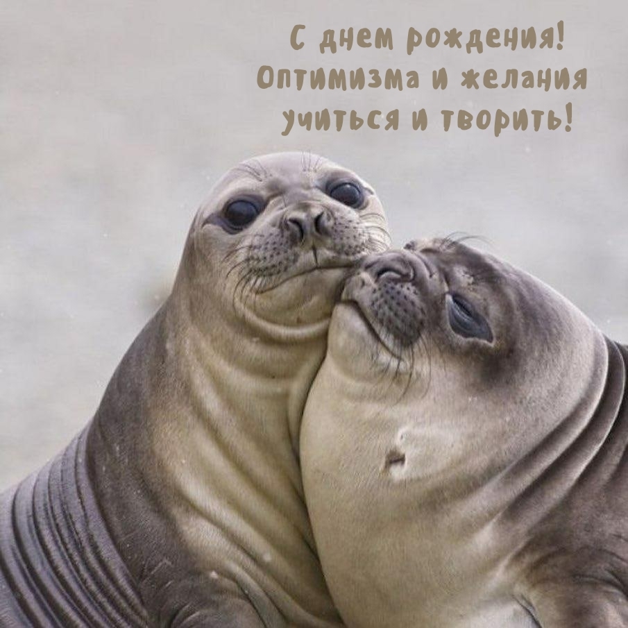 С днем рождения! Оптимизма и желания учиться и творить!