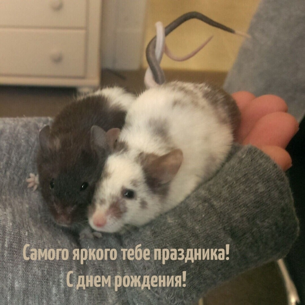 Самого яркого тебе праздника! С днем рождения!