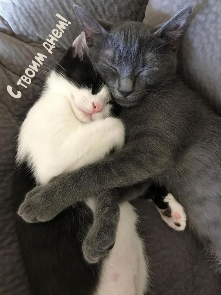 С твоим днем!