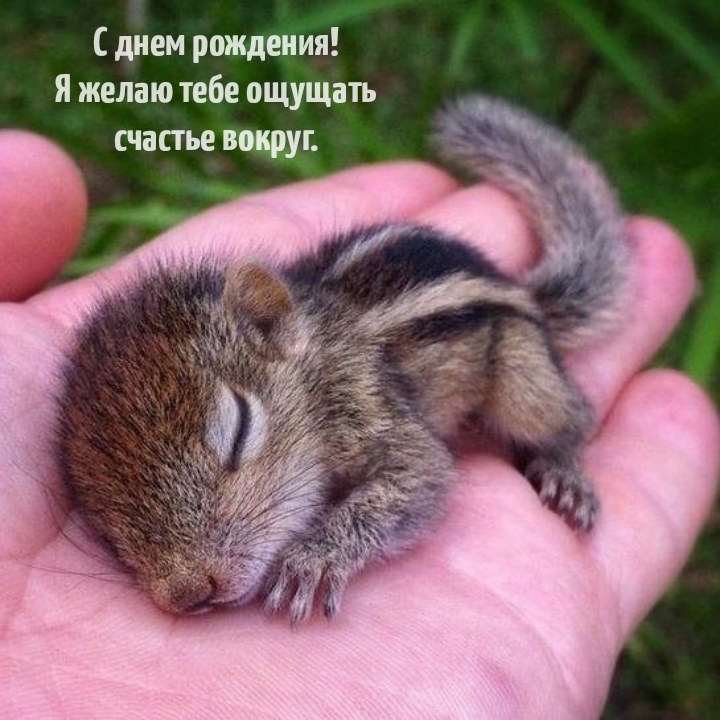С днем рождения! Я желаю тебе ощущать счастье вокруг.