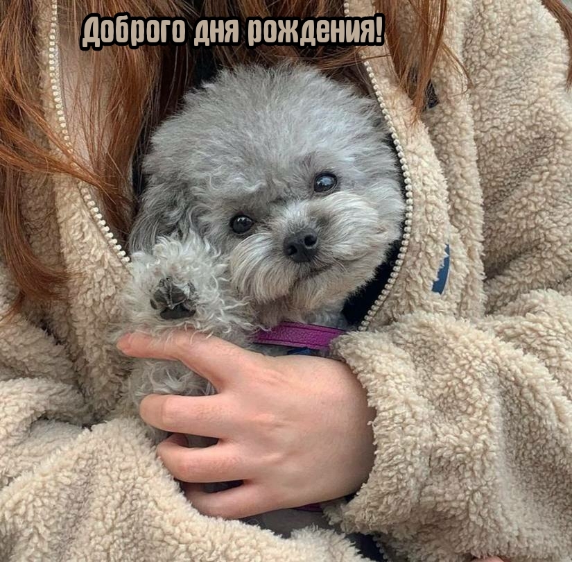 Доброго дня рождения! 