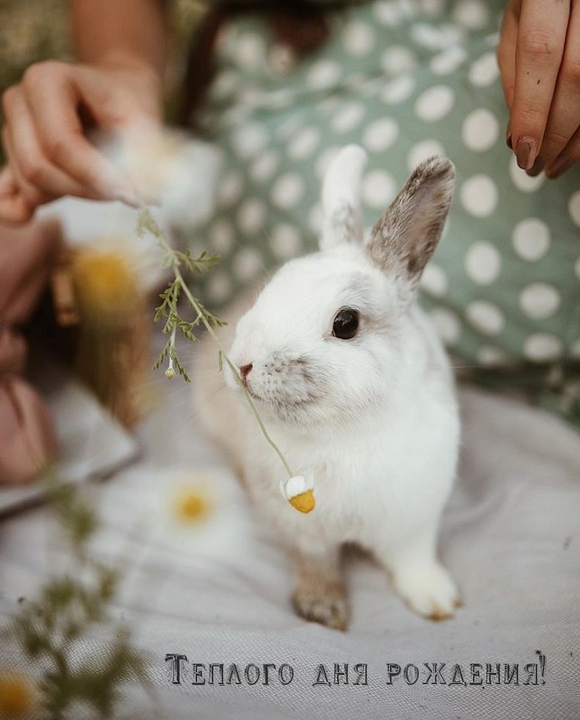 Теплого дня рождения! 