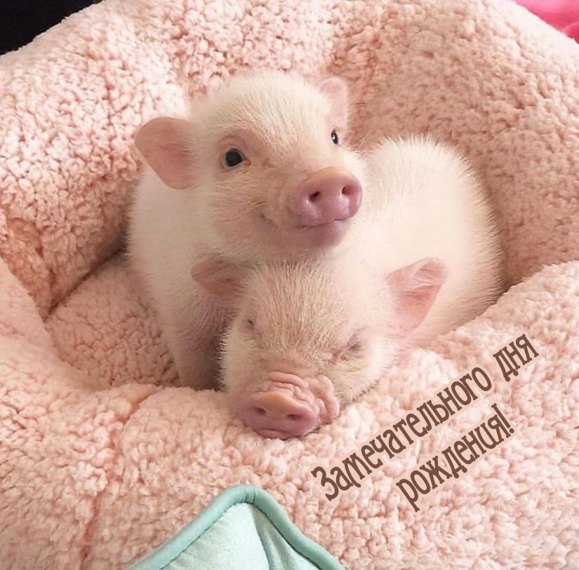 Замечательного дня рождения!