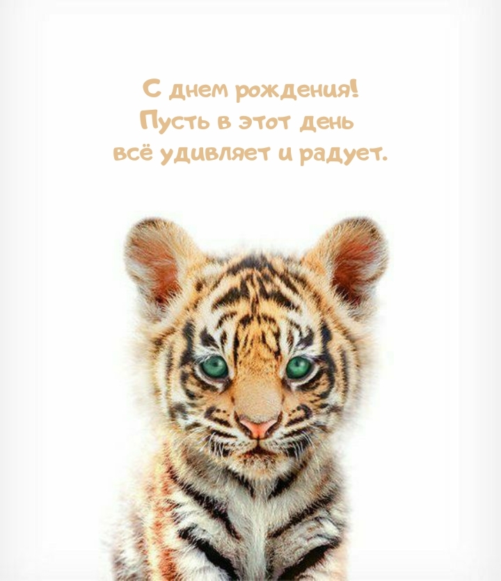 С днем рождения! Пусть в этот день всё удивляет и радует.