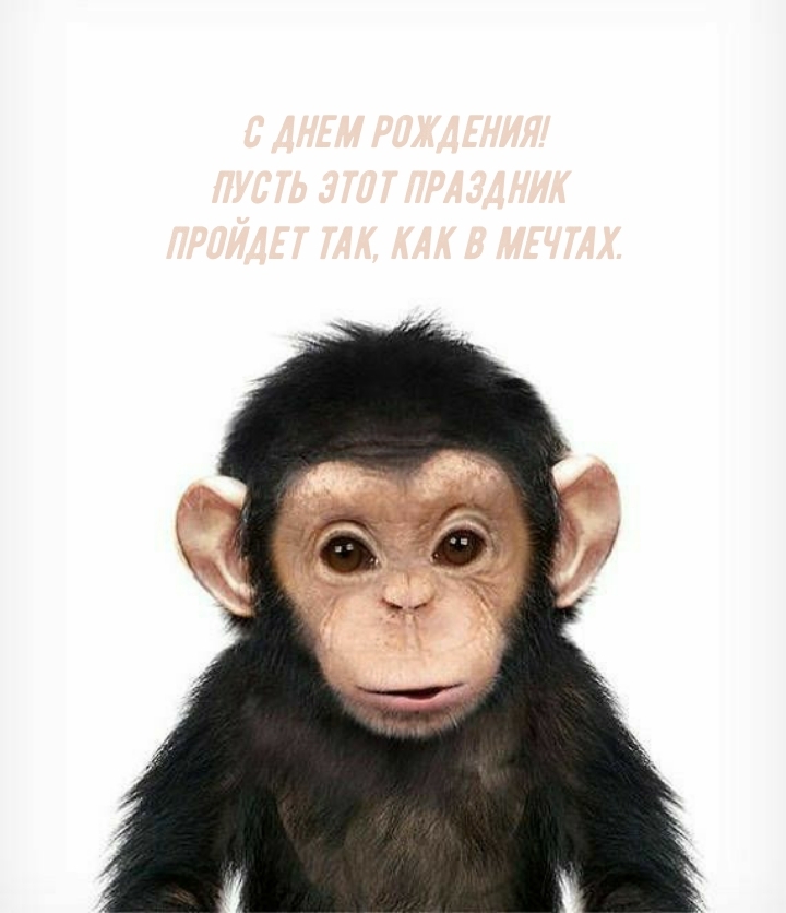 Пусть этот праздник пройдет так, как в мечтах.