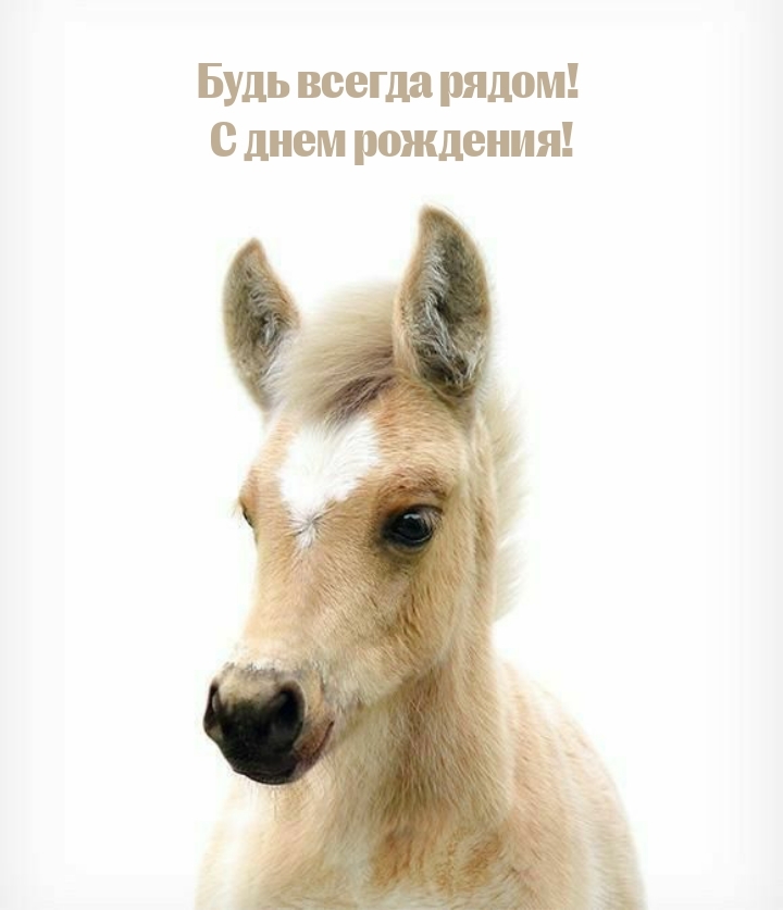 Будь всегда рядом! С днем рождения!
