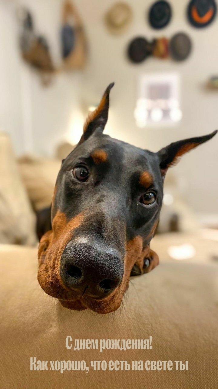 С днем рождения! Как хорошо, что есть на свете ты