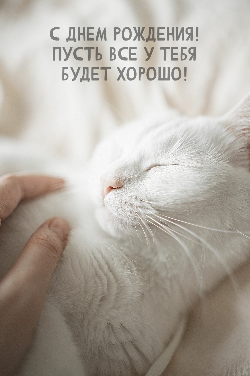 С днем рождения! Пусть все у тебя будет хорошо!