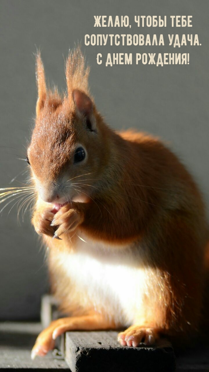 Желаю, чтобы тебе сопутствовала удача. С днем рождения!