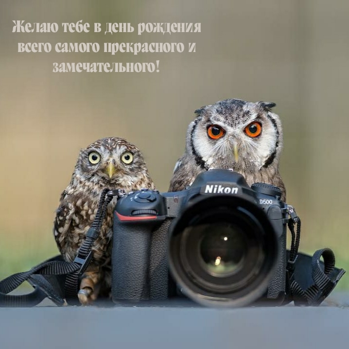 Желаю тебе в день рождения всего самого прекрасного