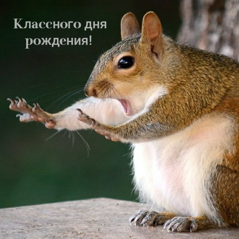 Классного дня рождения! 