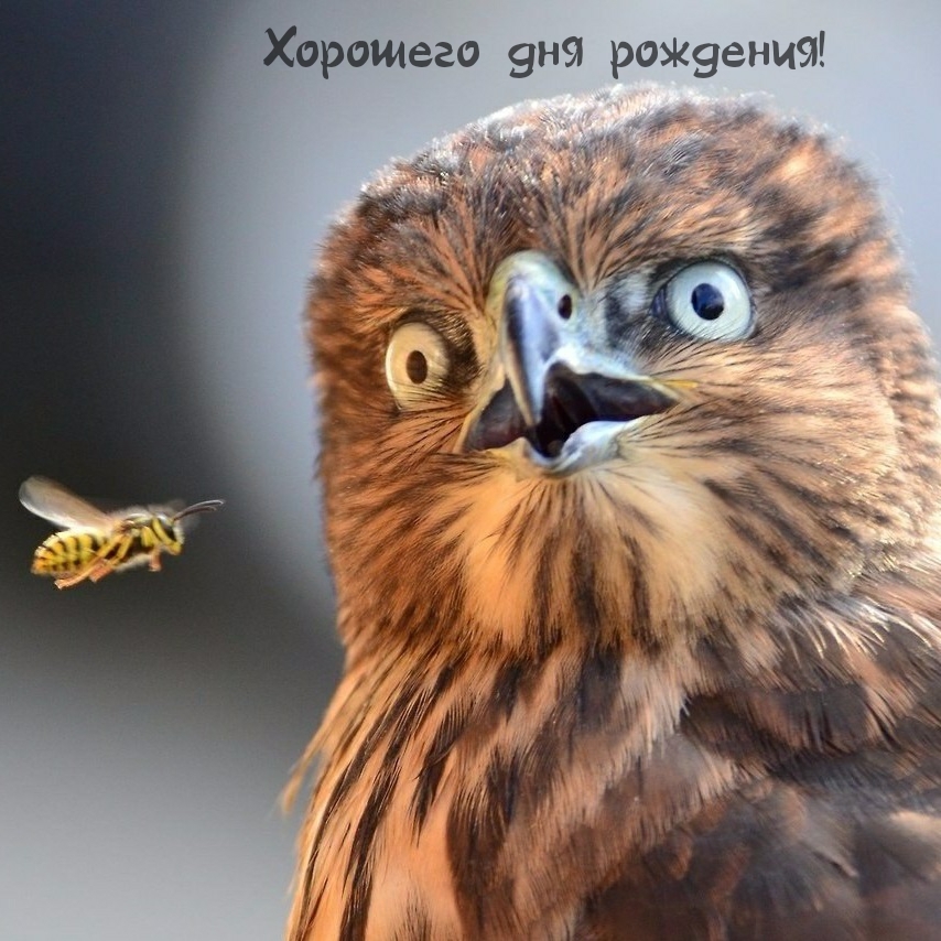 Хорошего дня рождения! 