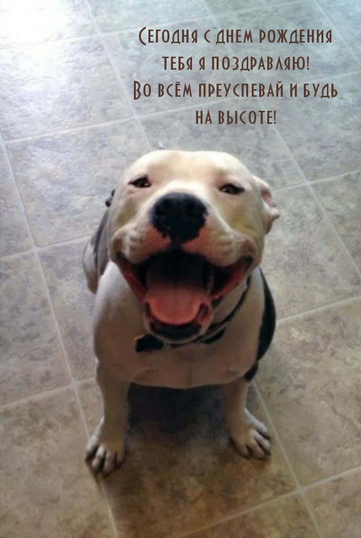 Сегодня с днем рождения тебя я поздравляю!