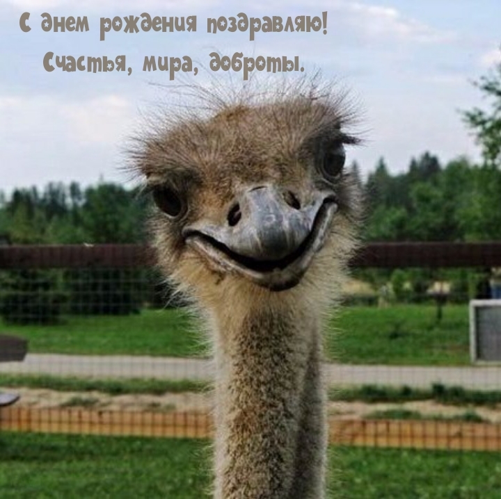 С днем рождения! Счастья, мира, доброты.