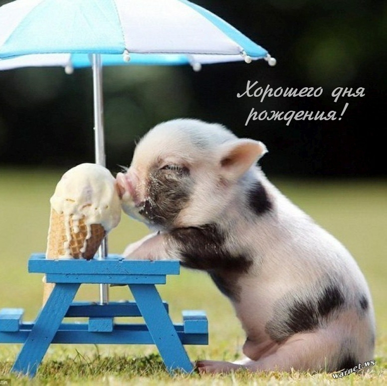 Хорошего дня рождения! 