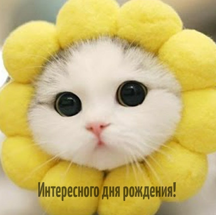 Интересного дня рождения! 