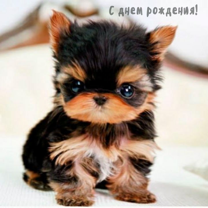 С днем рождения!