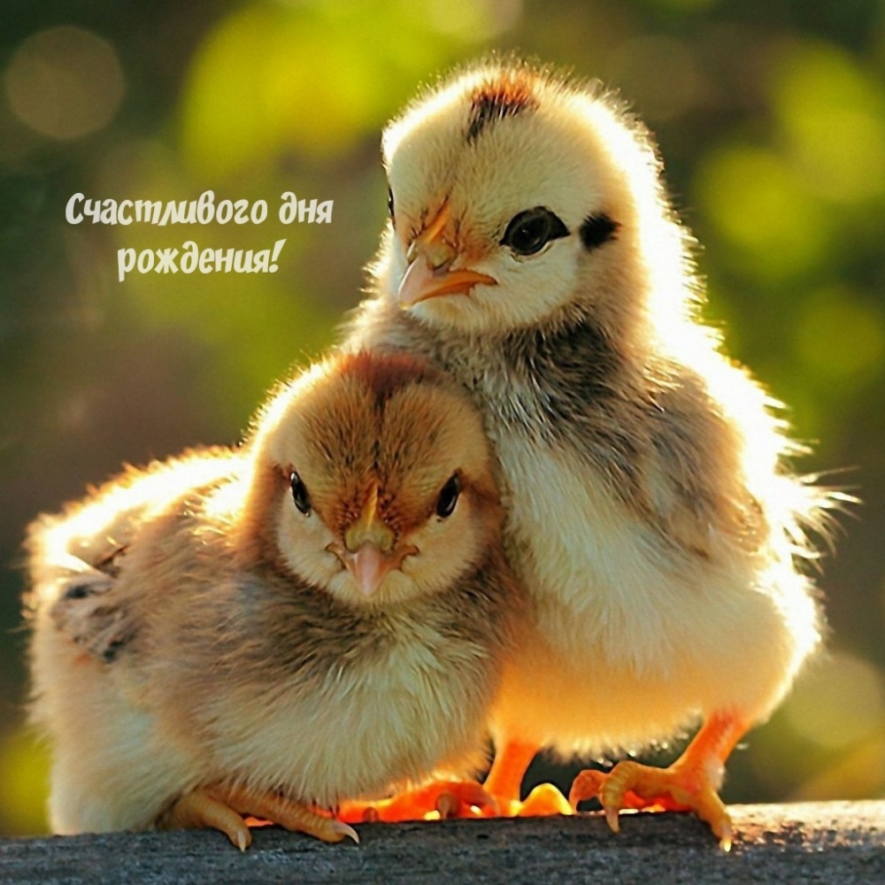 Счастливого дня рождения!