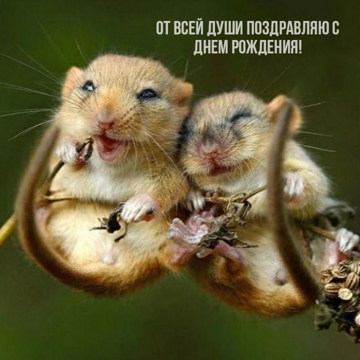 От всей души поздравляю с днем рождения!