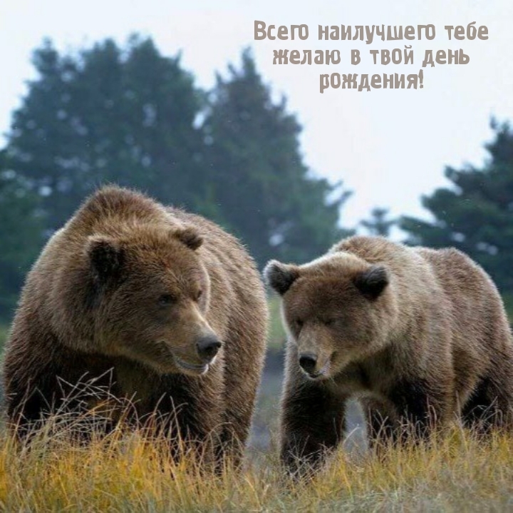 Всего наилучшего тебе желаю в твой день рождения!