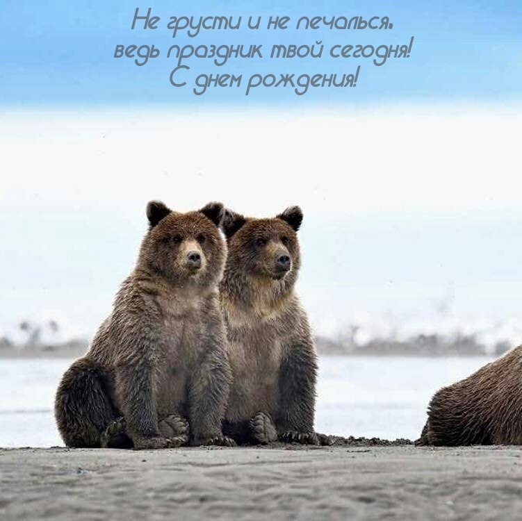 Не грусти и не печалься, ведь праздник твой сегодня! 