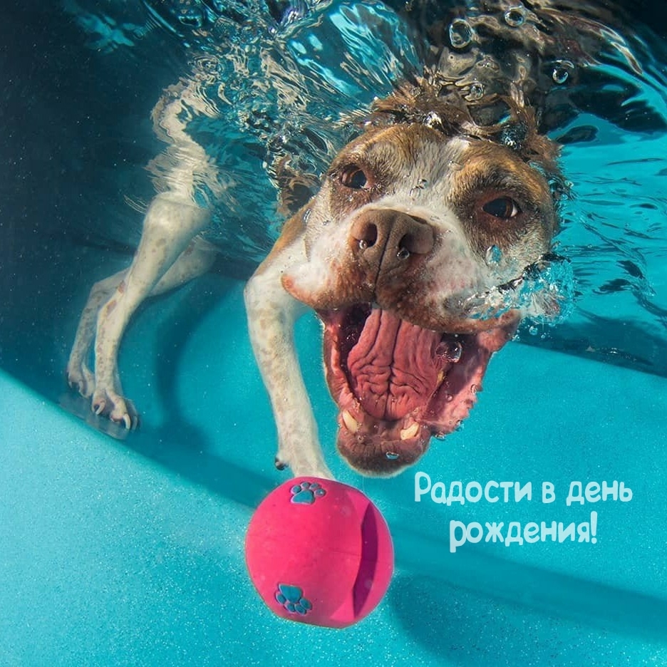 Радости в день рождения!