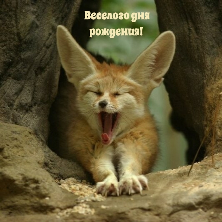 Веселого дня рождения! 