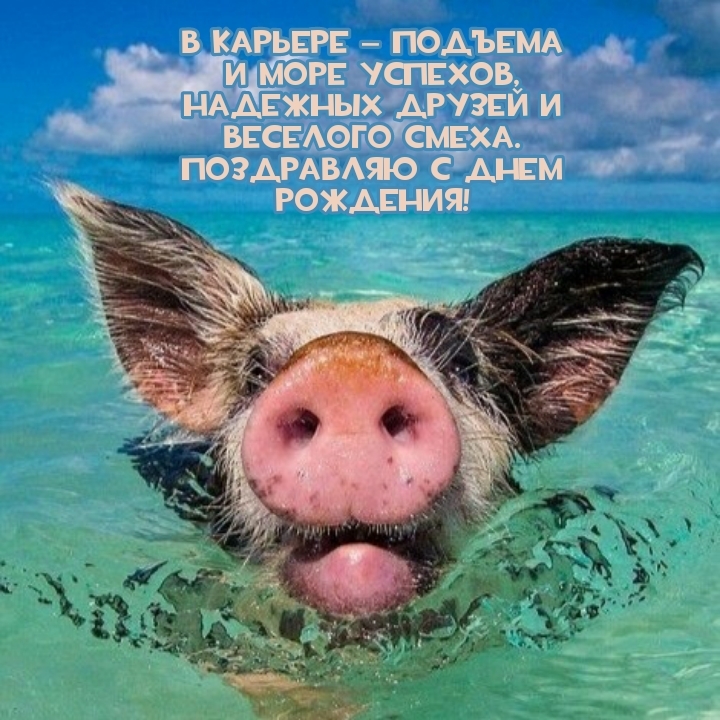 В карьере — подъема и море успехов, надежных друзей 