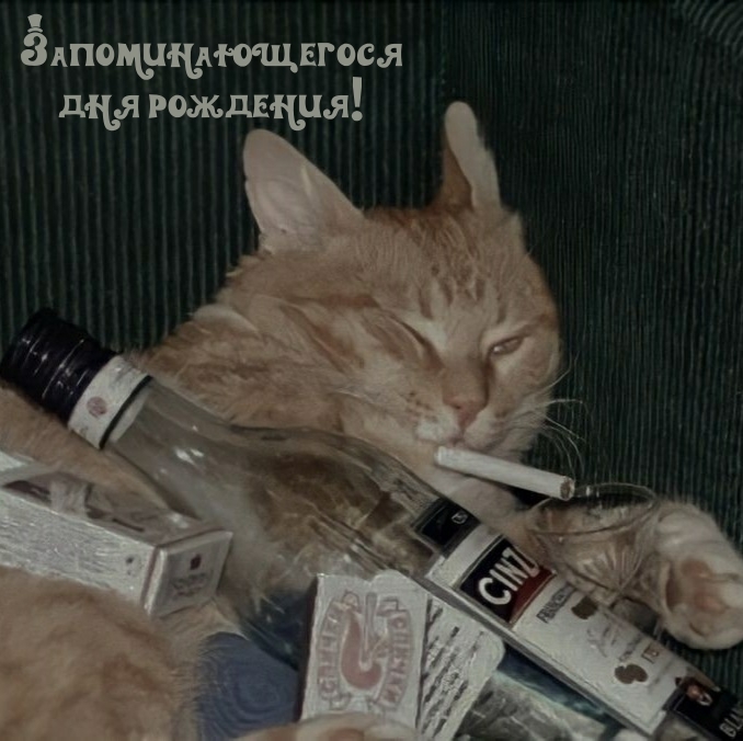 Запоминающегося дня рождения!