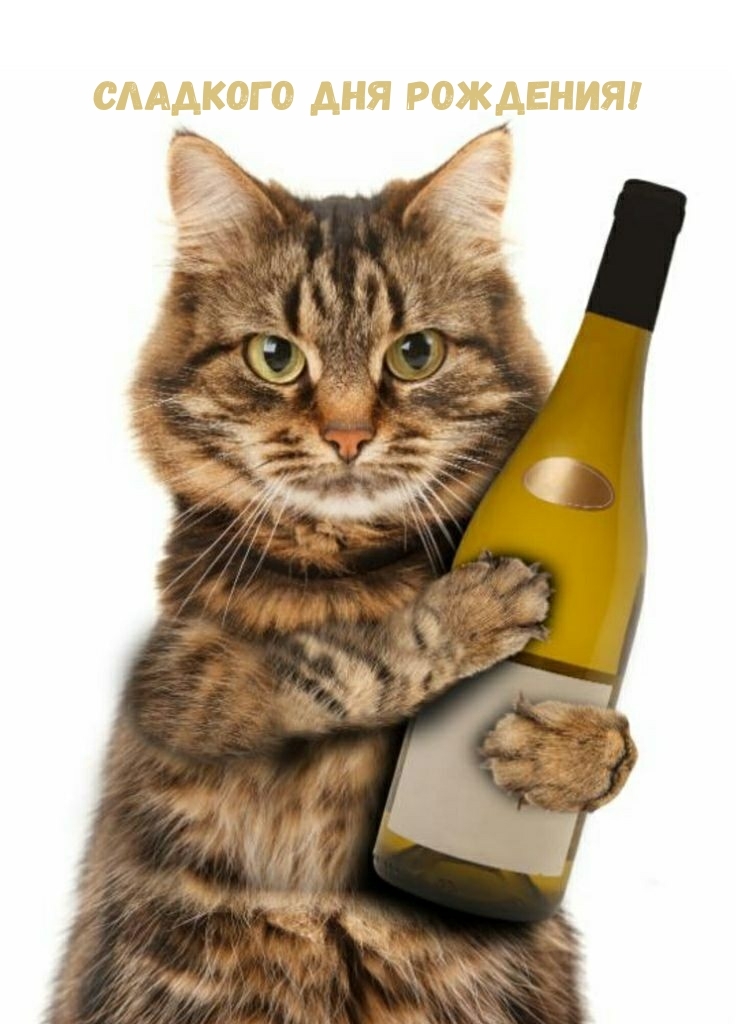 Сладкого дня рождения!
