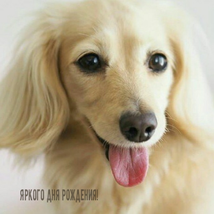 Яркого дня рождения! 