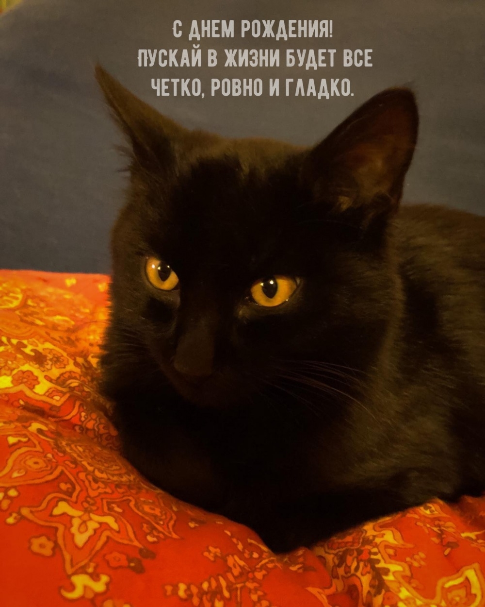 С днем рождения! Пускай в жизни будет все четко, ровно и гладко.