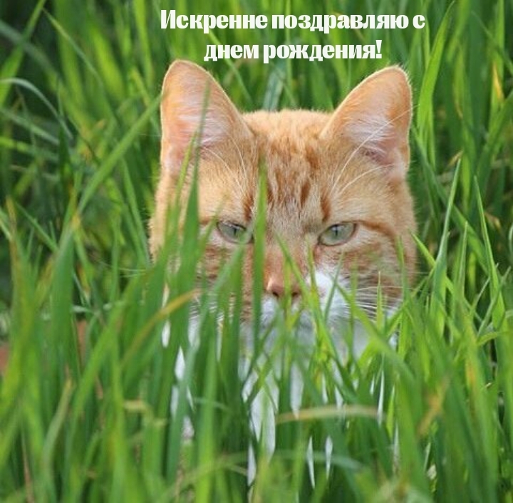 Искренне поздравляю с днем рождения!