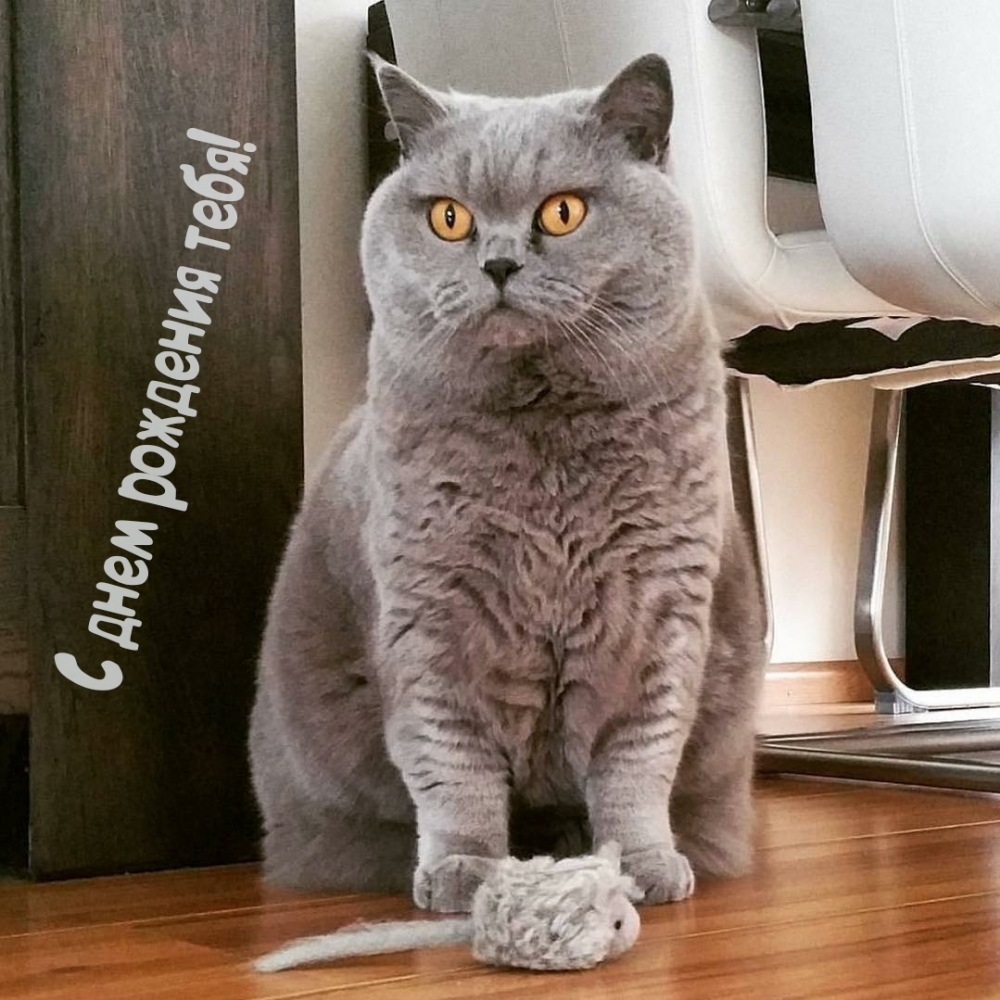 С днем рождения тебя!