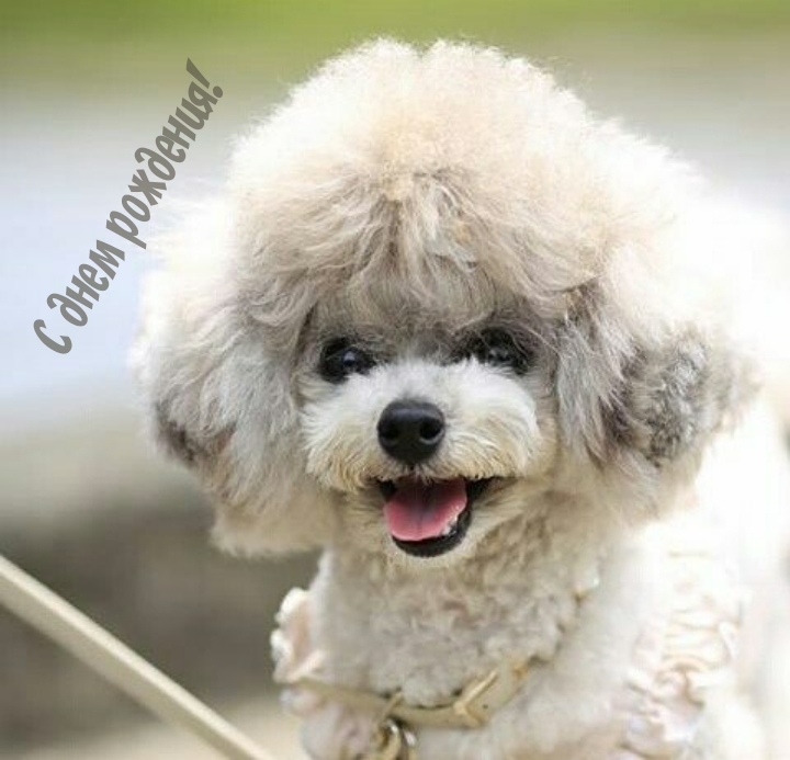 С днем рождения!