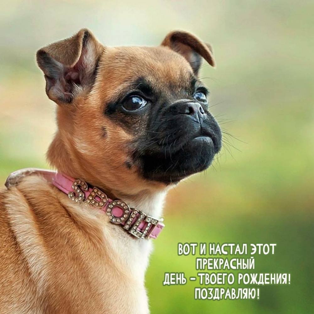Вот и настал этот прекрасный день - твоего рождения!