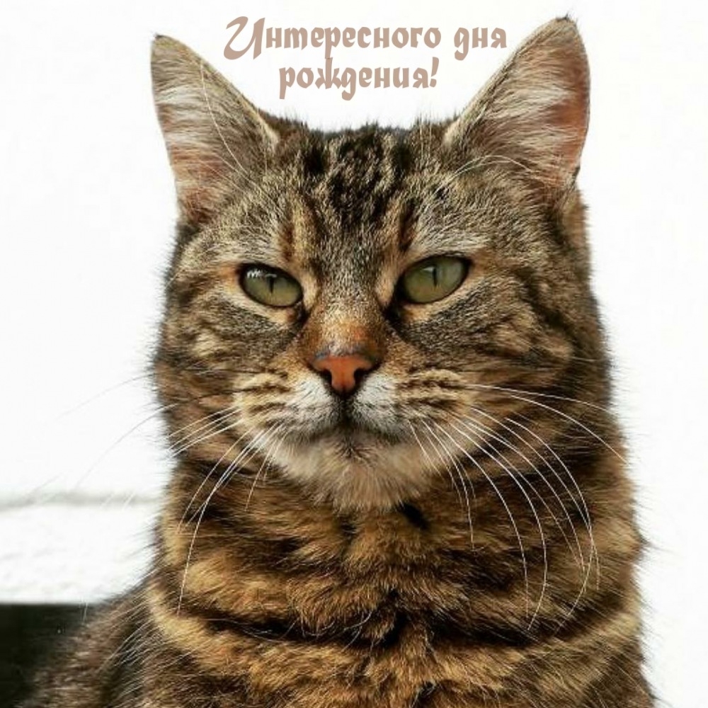 Интересного дня рождения! 
