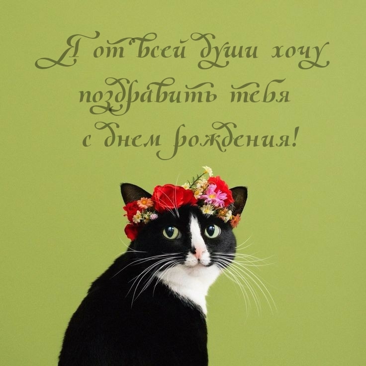Я от всей души хочу поздравить тебя с днем рождения!