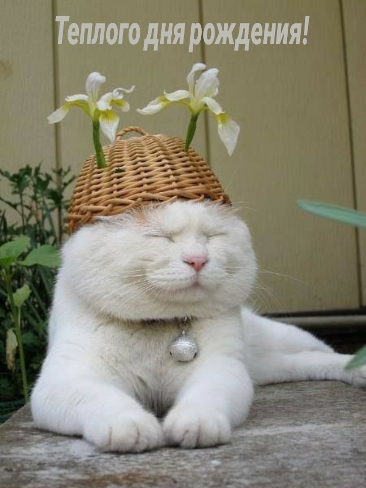 Теплого дня рождения! 
